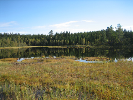 flott fiskevann